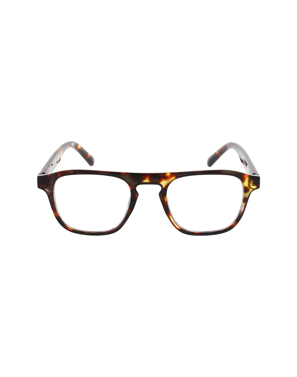Brad Brown Turtle- Screen Protect - 9807